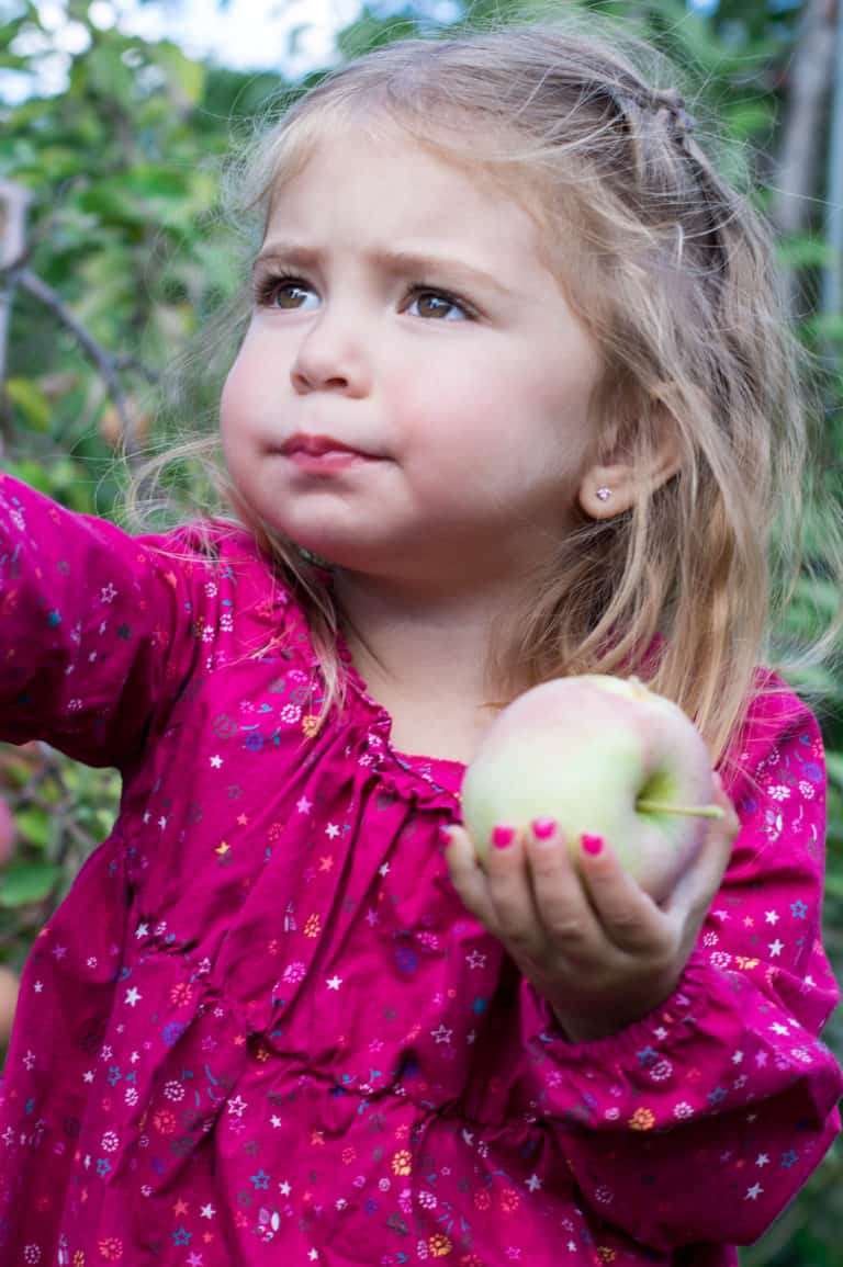 4 Fantastic Fall Activities and How to Best Photograph Them