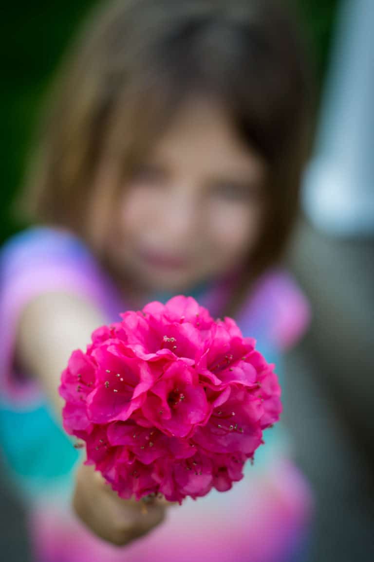 Focus on Your Camera's Focus Options - Simply Rooted Family