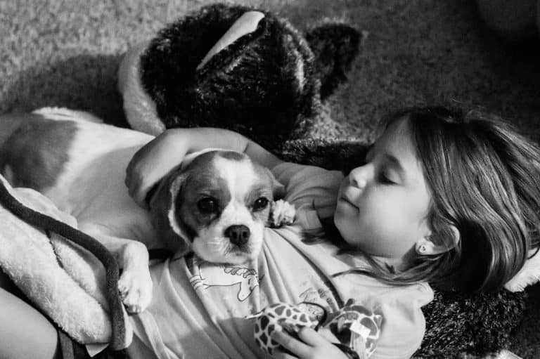 What to Expect When Your Family is Getting a Fur-baby