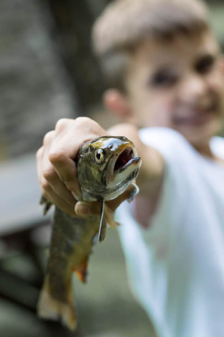 Simple Photography Tips to  Get Background Blur in Your Photographs