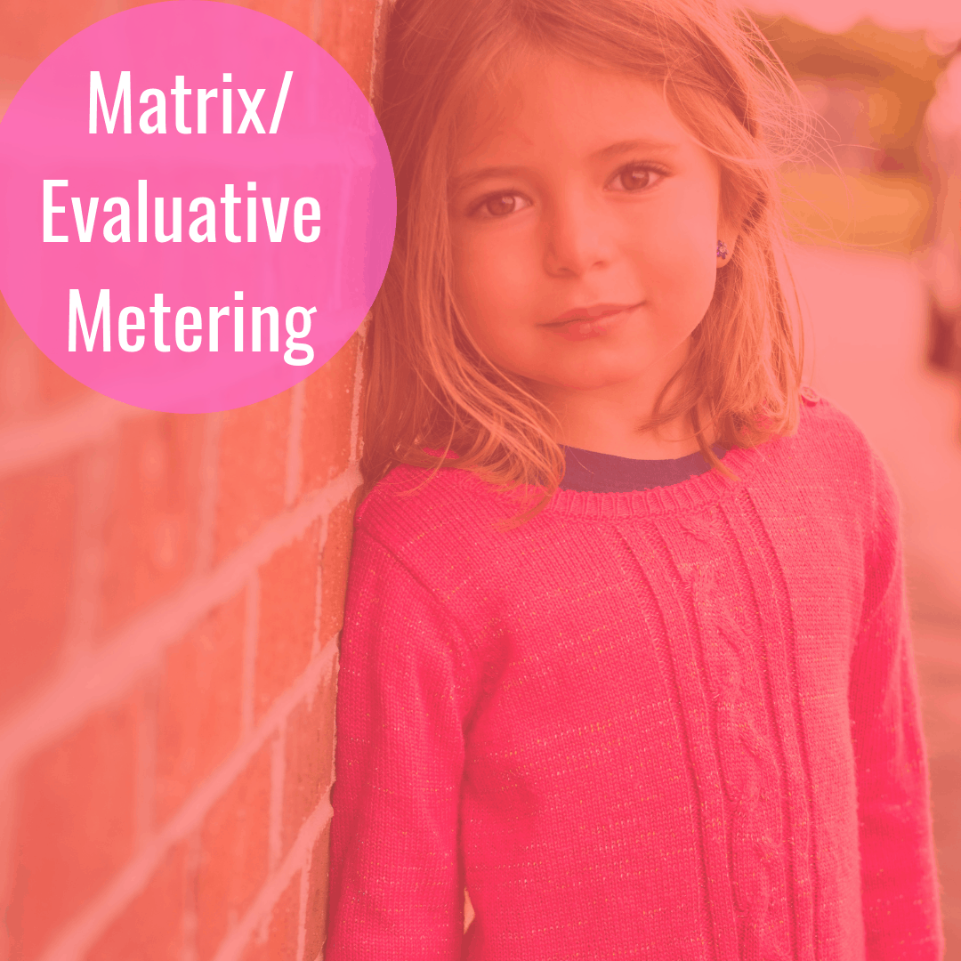 The Secret to Manual Mode: The Beginner Photographer's Guide to ...