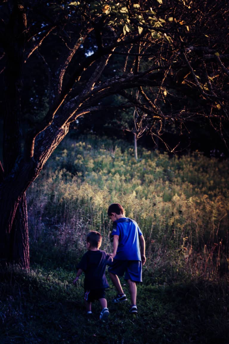 The Art of Raising Wild Boys into Gentlemen