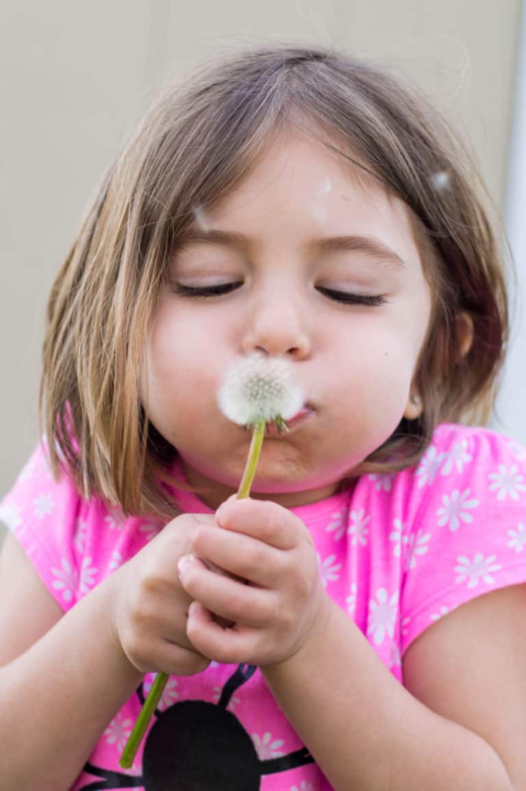 6 Spectacular Spring Photography Ideas