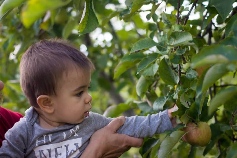 Why Happy, Healthy Children Play Outdoors