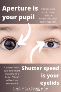 Crazy-Simple Photography Beginner's Guide to Camera Settings Basics
